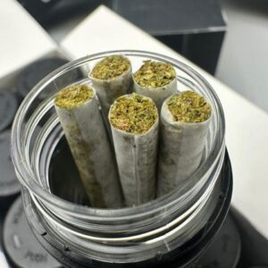 raw garden live sauce infused joints – 5 pack (2.5g)