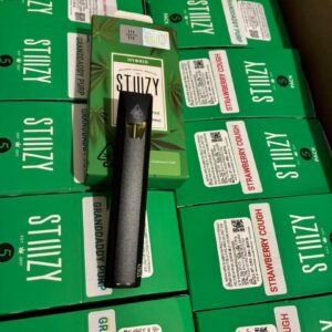 STIIIZY 1G Disposable 5-Pack All-In-One Bundle with Grandaddy Purp