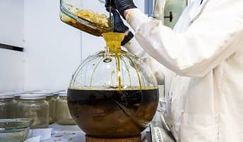 Two glass jars comparing live diamonds in terp sauce and golden granular live resin to highlight the 5 best differences