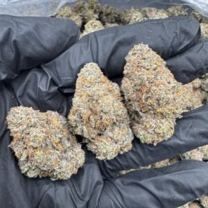Pink Runtz Oz 28G exotic flower hand-trimmed buds caked in trichomes with candy gas terpene profile