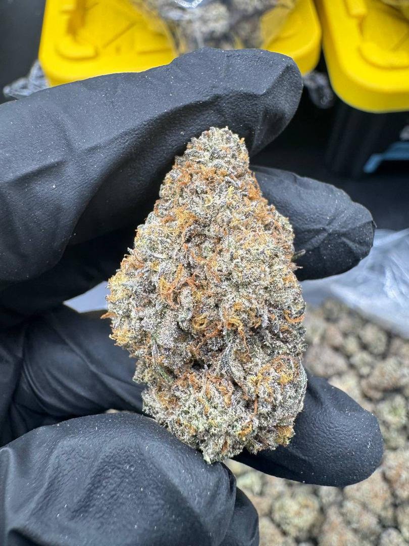 Pink Runtz Oz 28G exotic flower hand-trimmed buds caked in trichomes with candy gas terpene profile